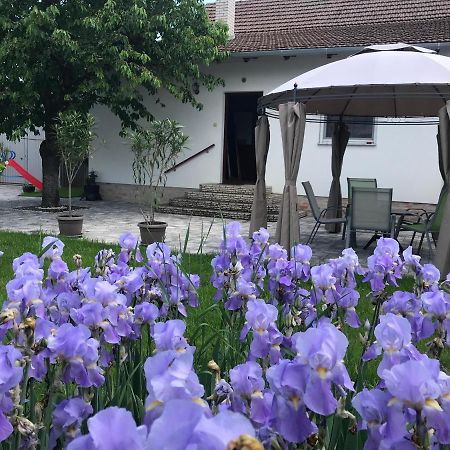 Eden Apartman Algyo Buitenkant foto