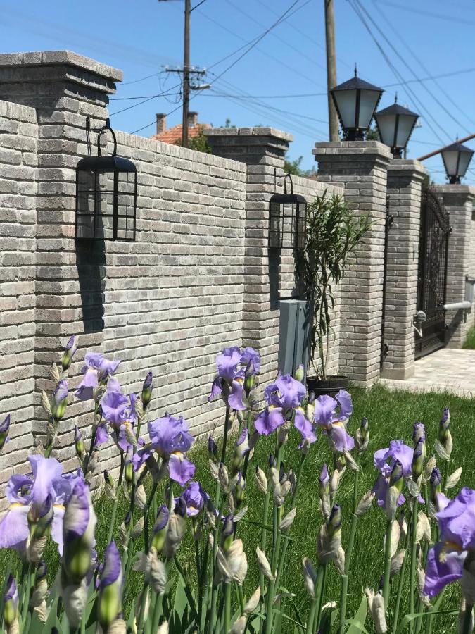 Eden Apartman Algyo Buitenkant foto